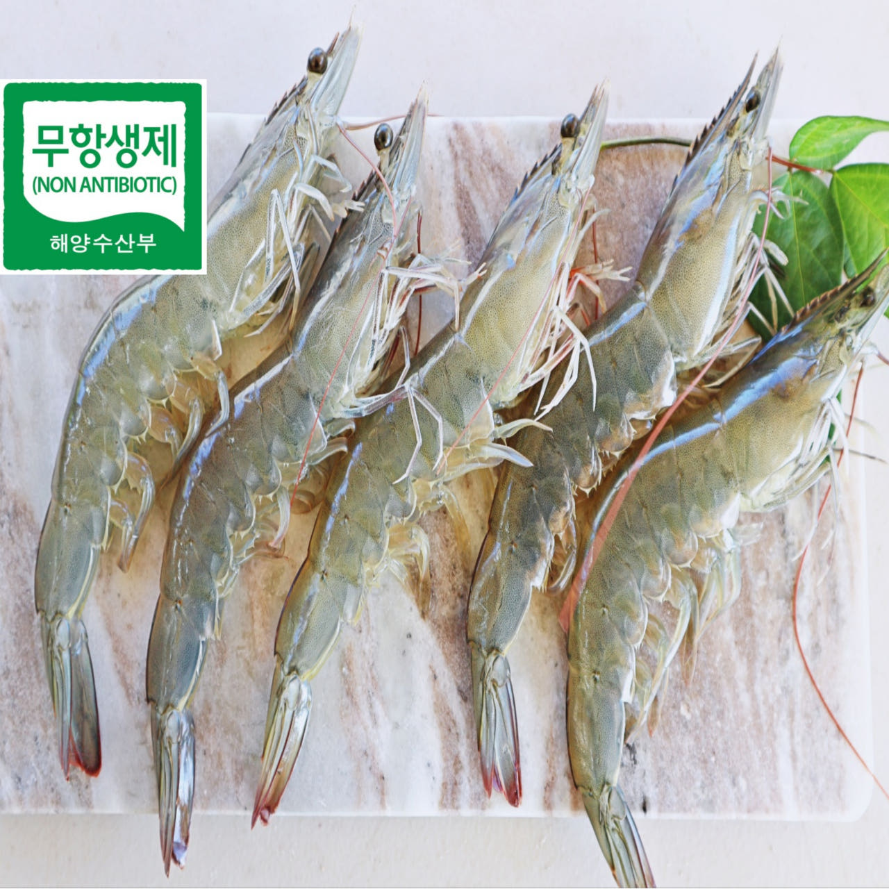 거북왕수산 무항생제 로고와 흰다리새우