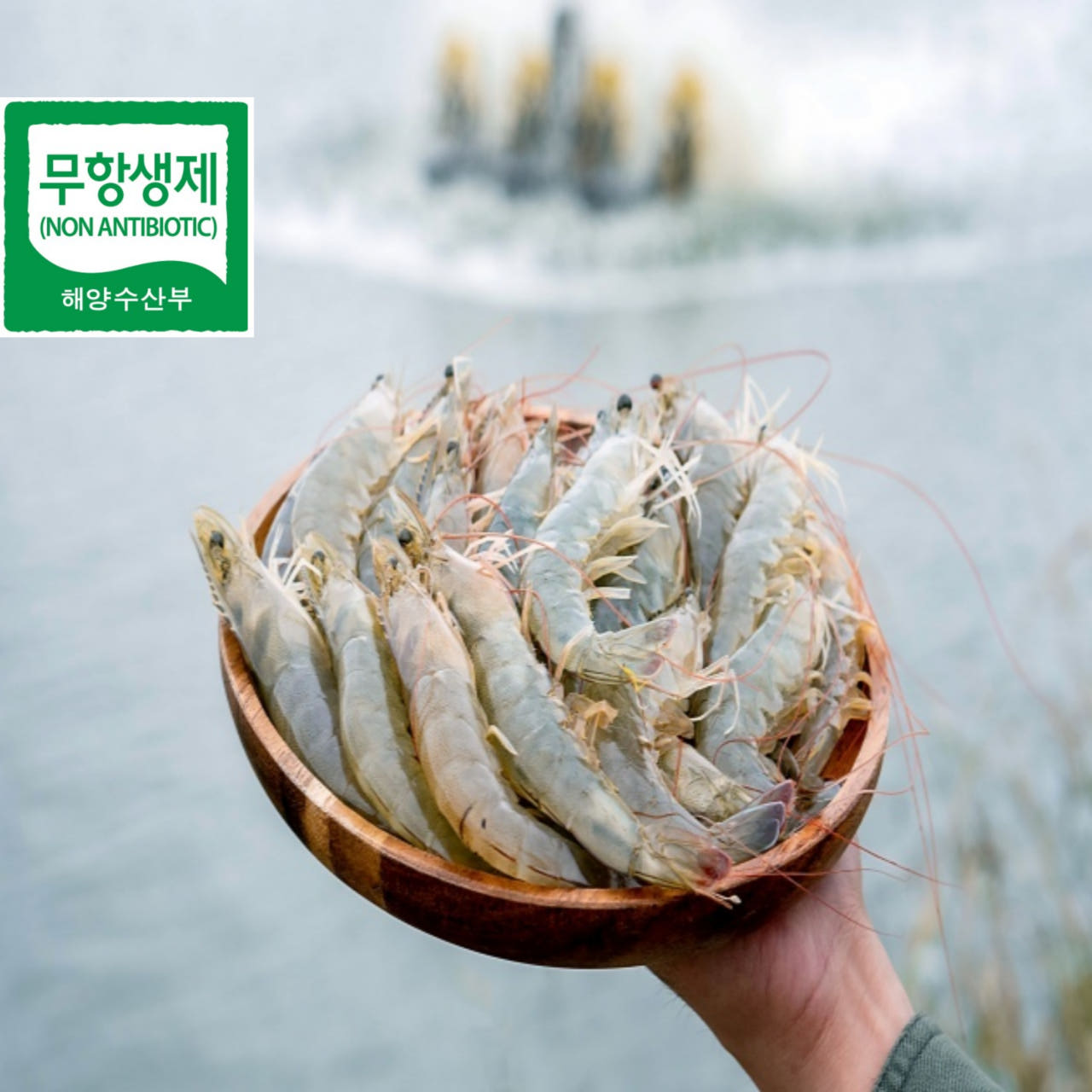 거북왕수산 급냉새우
